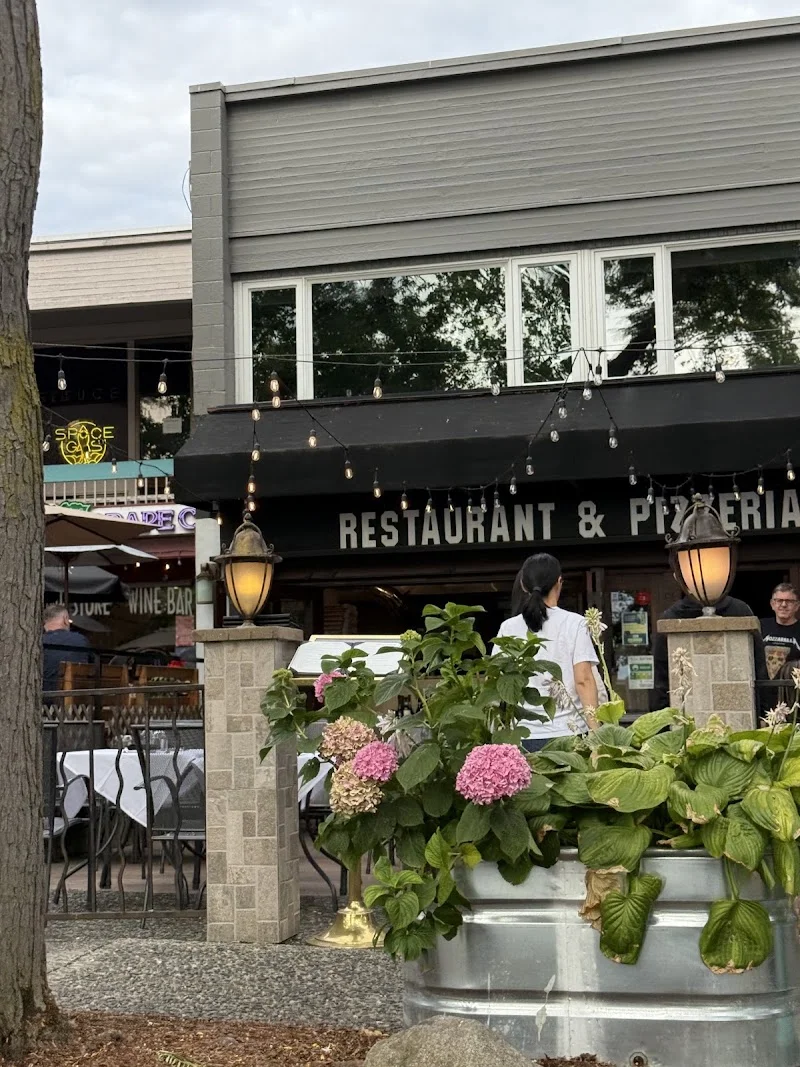 Pizzaiolo wood fired pizza
